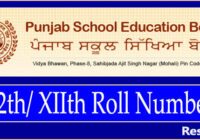 PSEB 12th Roll Number 2023