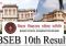 Bihar Board 10th Result 2024, BSEB 10th Result 2024