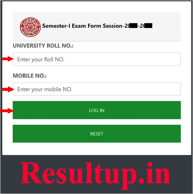 LNMU UG 1st Year Registration Exam Form