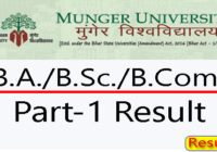 Munger University Part 1 Result 2023