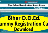 Bihar DElEd Dummy Registration Card 2022