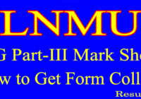 LNMU UG Part 3 Mark Sheet 2023