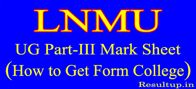 LNMU UG Part 3 Mark Sheet 2023